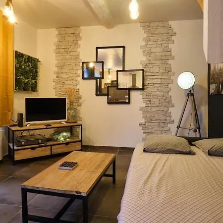Holiday home Melina - Jacuzzi - Maison Avec Cour Climatisee Proche Cite Medieval *